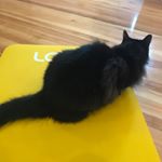 Profile Picture of Marie-Claude Audet (@marieclaude_audet) on Instagram