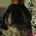 Profile Picture of Cheryl Ryan Conklin (@cherylconklin) on Instagram