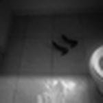 Profile Picture of Luz Santana (@luzamelia) on Flickr