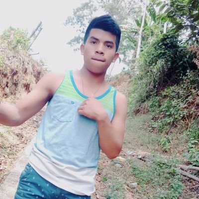 Profile Picture of Alan Concepción (@Alan81129439) on Twitter