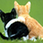 Profile Picture of Cláudia Martins Dias Riberio (@cláudia m. d. ribeiro) on Flickr