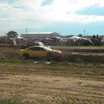 Profile Picture of Lisa Telfer-Quint (@telferquint) on Instagram