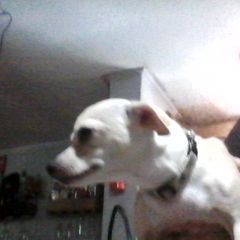 Profile Picture of Nancydragan (@nancydragan) on Tiktok