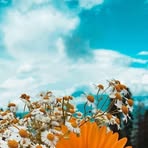 Profile Picture of Reyna Luis (@reyna.luis.12908) on Facebook