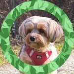 Marlies Krepelka - Instagram Profile Picture of Marlies Krepelka (@marieluisekrepelka) on Instagram