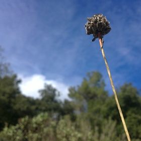 Profile Picture of Juan Carlos Estudillo (@jcestudillo) on Pinterest