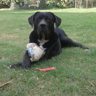 Profile Picture of Alejandro Neira (@aen133148) on Twitter