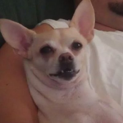 Profile Picture of Nick Bonilla (@_nickcx_) on Twitter