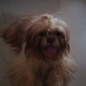 Profile Picture of Michael Bilbao (@michaelbilbao9948) on Youtube