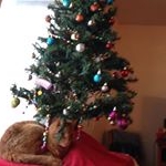 Profile Picture of Nancy Trautmann-Goode (@trautmanngoode) on Instagram