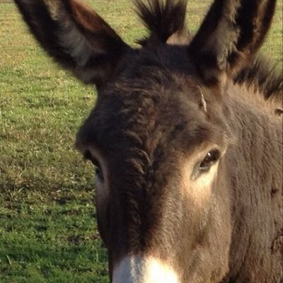 Profile Picture of Jim Kiser (@6kranch) on Twitter