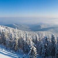 Profile Picture of Hamdi Ali (@hamdi-ali-64) on Quora