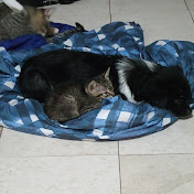 Profile Picture of Nyah Stevens (@nyahhudson) on Youtube