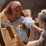 Profile Picture of CreamofBritish Labradoodles & Bernedoodles (@creamofbritish_ald) on Instagram