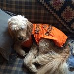 Profile Picture of Cody Sutton (@cody_sutton228) on Instagram