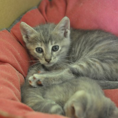 Profile Picture of Robert (@richardohaness1) on Twitter