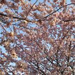 Profile Picture of Dawn Trotter (@dawn_trotterpaihza7l) on Instagram