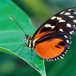 Profile Picture of Claudia Zegarra La Torre (@claudia.z.latorre) on Instagram