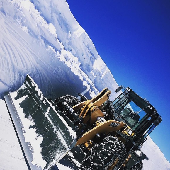 Profile Picture of Anthony Calsadillas (@antwanqc) on Poshmark