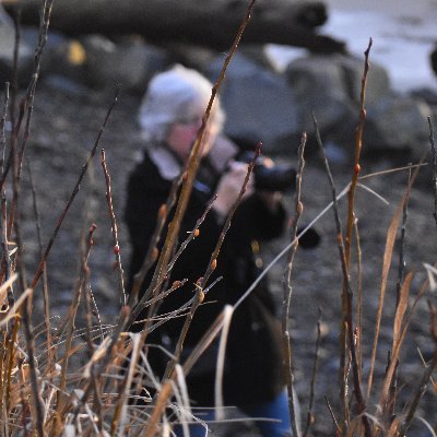 Profile Picture of Libby Henderson (@libbysky7) on Twitter