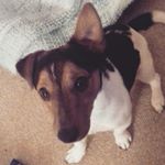 Profile Picture of Bert Watson (@bertisaurusrex) on Instagram