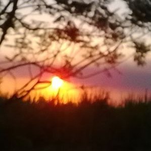 Profile Picture of Maria Beatriz Aleman (@MaryBe4694) on Twitter