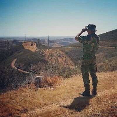 Dani Pimentel - Twitter Profile Picture of Dani Pimentel (@Denipimentel17) on Twitter