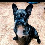 Profile Picture of Simón Ocampo (@simonocampo95) on Instagram