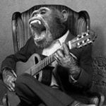 Profile Picture of Mark Pidgeon (@mark.pidgeon.33) on Instagram