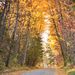 Profile Picture of Chris Klingenberg (@cklingenberg) on Pinterest