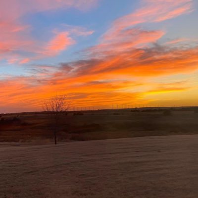 Profile Picture of Miranda Bailey  🇺🇸 ⛈ (@mirbailey) on Twitter