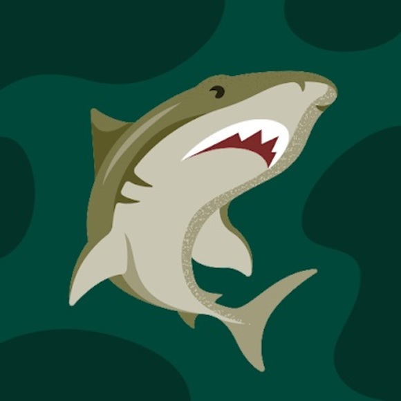 Profile Picture of Connor Flynn (@cjflynn212) on Poshmark