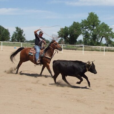 Profile Picture of Bob Alderman (@RoperWFFW) on Twitter