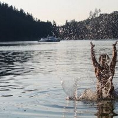 Profile Picture of Jo Onorato/Art (@Indigojoanne) on Twitter