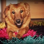 Profile Picture of Hubert Danner (@hubert.danner.5) on Facebook