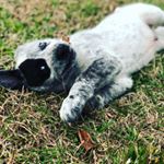 Profile Picture of Jacob Voyles (@jacob.voyles) on Instagram