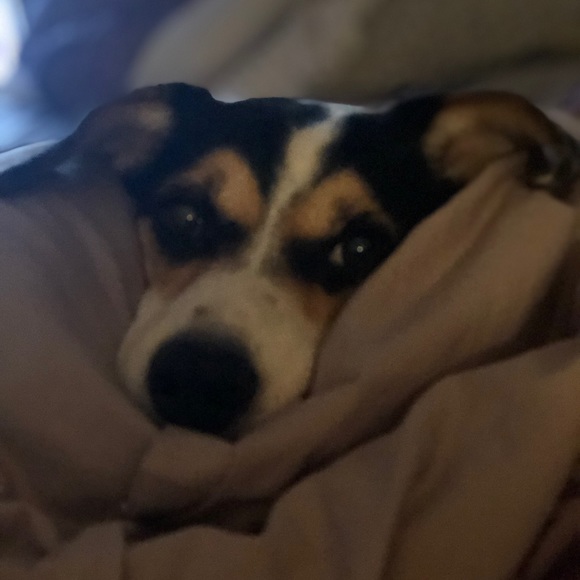 Profile Picture of Anita Novicki (@neeter1964) on Poshmark