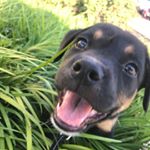 Profile Picture of Athena Joy Scruggs (@xavierqueenathena) on Instagram