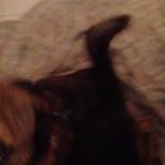 Profile Picture of Peter Hartog (@pete.hartog) on Instagram