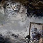 Profile Picture of Pamela Snider Lemmons (@lemonade8590) on Instagram