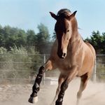 Profile Picture of Eileen Hill (@eileen.hill.5851) on Instagram
