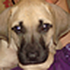 Profile Picture of Leigha Davis (@Leigha Davis) on Flickr