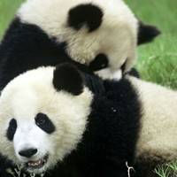 Profile Picture of Richard Derksen (@richard-derksen-5) on Quora