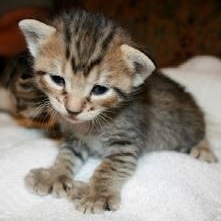 Profile Picture of Tina Hightower (@290906225) on Myspace