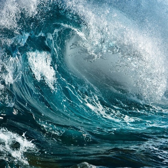 Profile Picture of Haley Kerridge (@hbk108) on Poshmark