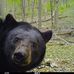 Profile Picture of Dennis Thompson (@dennis.thompson.545) on Facebook