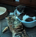 Profile Picture of Tabatha Hawks (@tabatha.hawks.3) on Facebook