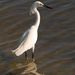 Profile Picture of Peter Dimitriou (@peterangelo) on Pinterest