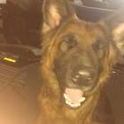 Profile Picture of   Lillian Lofton... (@lillianawesome) on Tiktok