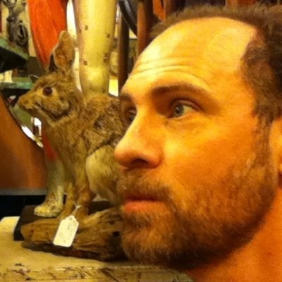 Profile Picture of James Devenport (@RainforJames) on Twitter